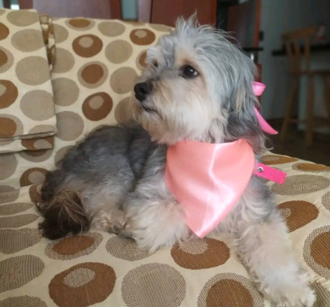 Rosita
